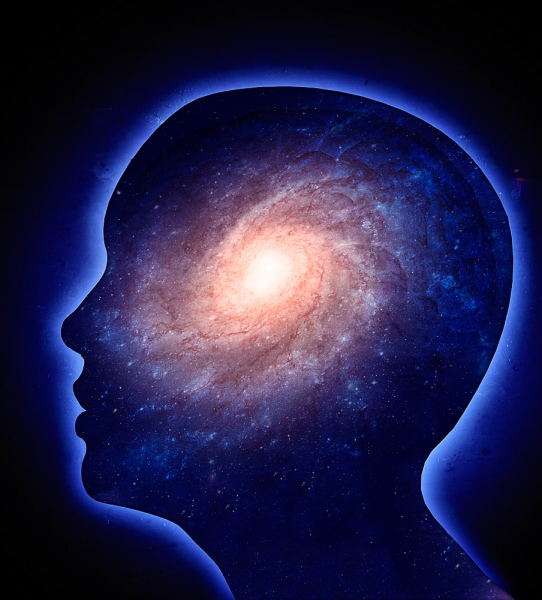 flexibilidad cognitiva