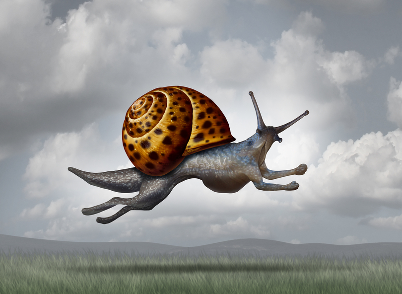 Transforming for success as a business concept for adapting and evolving for a more aggressive strategy as a snail changing into a cheetah shape to become more competitive.