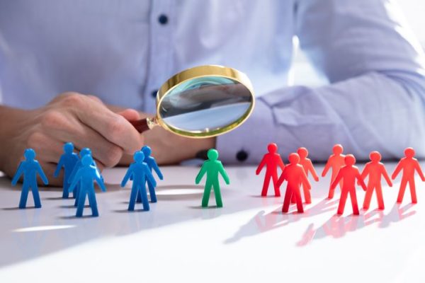 desarrollo de proveedores