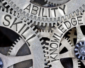 capacidades y competencias organizativas