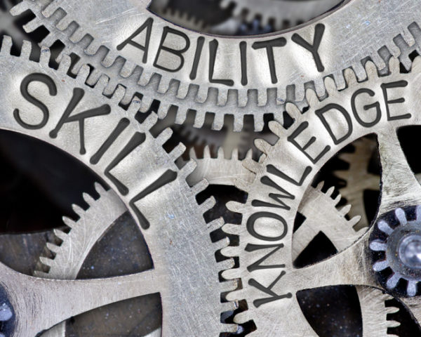 capacidades y competencias organizativas