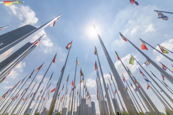 importación temporal