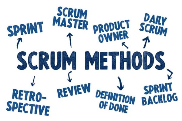 roles scrum